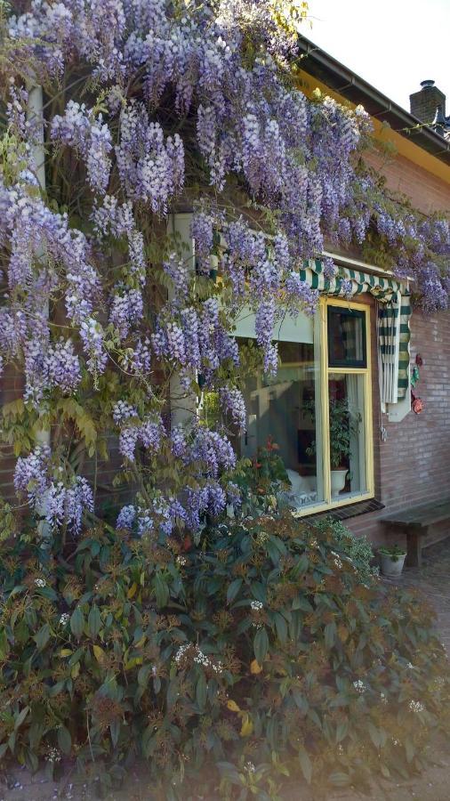 B&B De Vlinder Hardenberg Zewnętrze zdjęcie