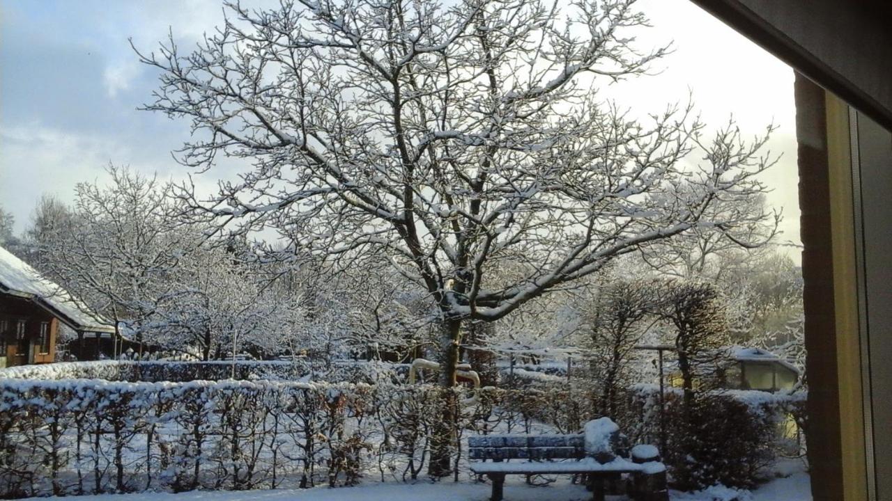 B&B De Vlinder Hardenberg Zewnętrze zdjęcie