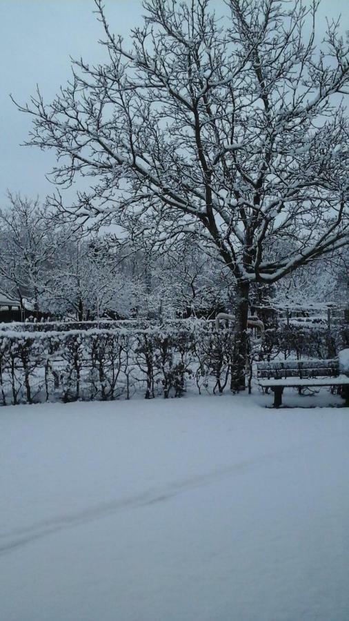 B&B De Vlinder Hardenberg Zewnętrze zdjęcie