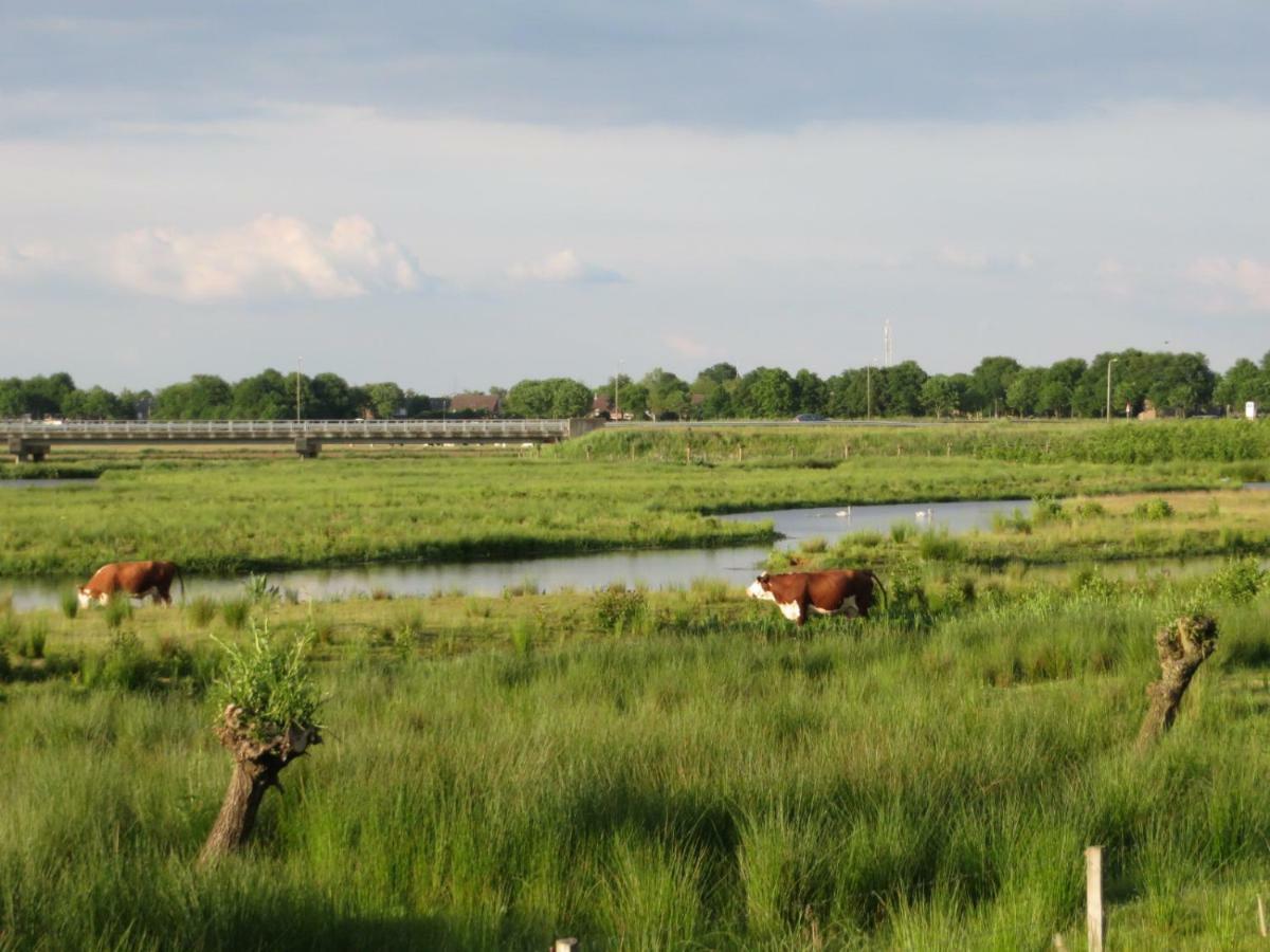 B&B De Vlinder Hardenberg Zewnętrze zdjęcie